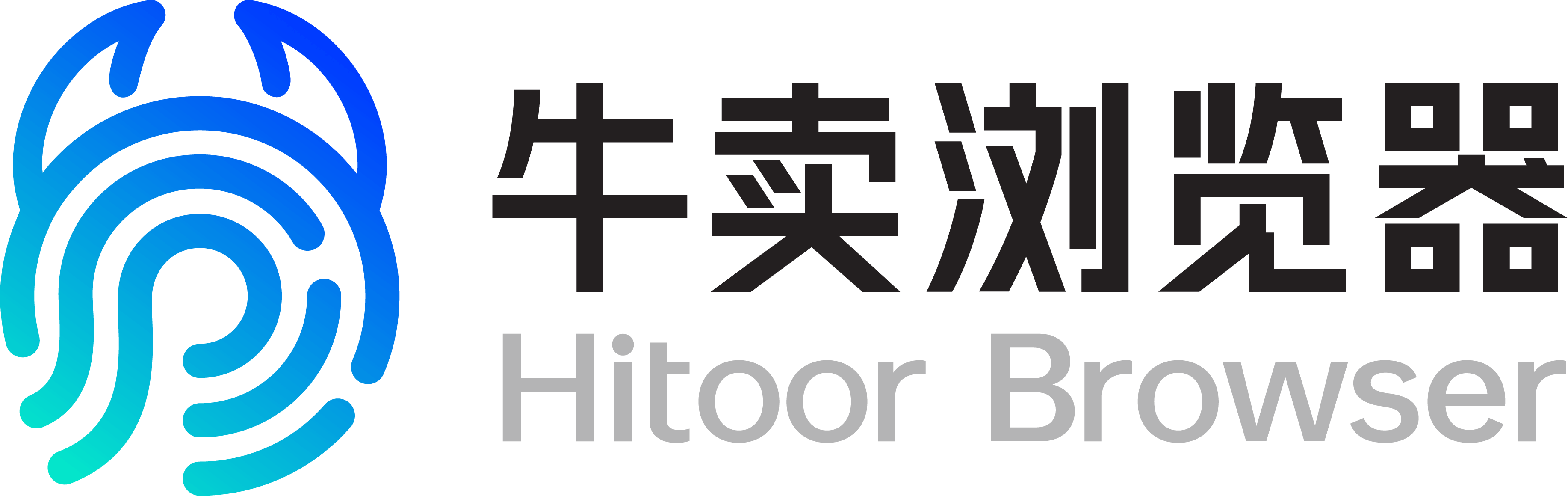 Hitoor Browser